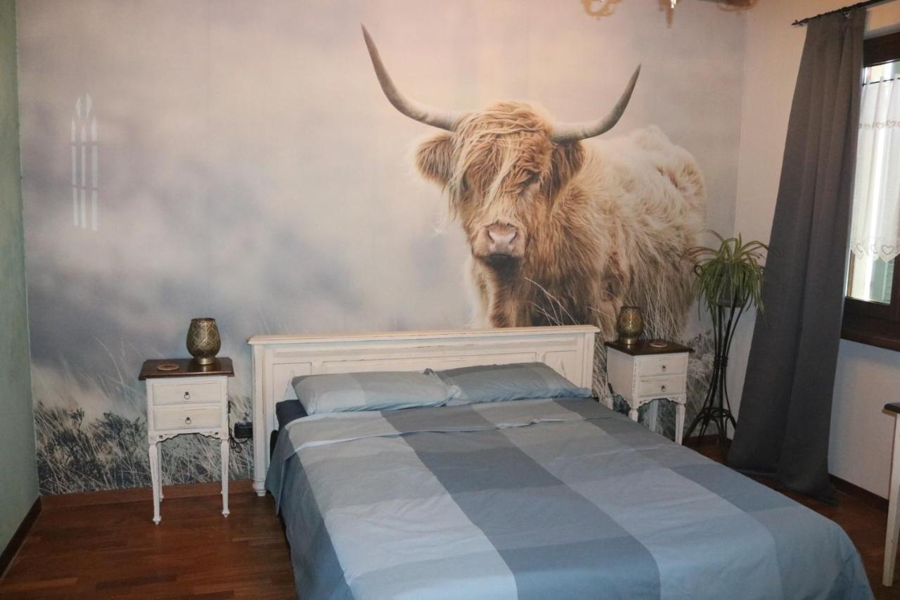 B&B Acquagrossa San Martino Buon Albergo Esterno foto