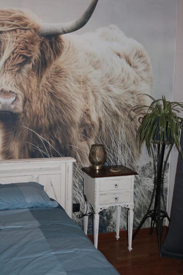 B&B Acquagrossa San Martino Buon Albergo Esterno foto