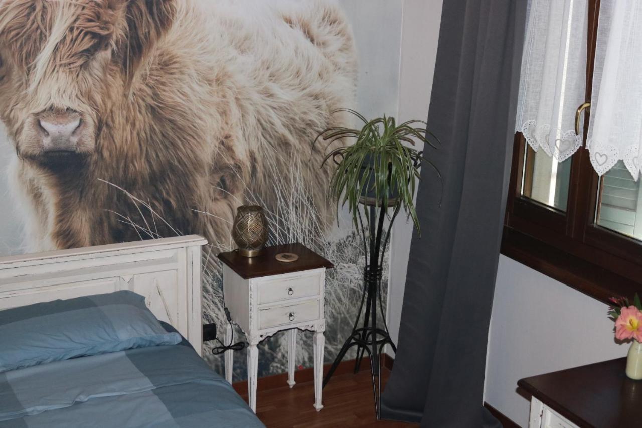 B&B Acquagrossa San Martino Buon Albergo Esterno foto
